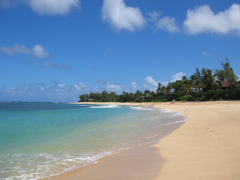 Discover Oahu: A Day of Scenic Drives, Thrilling Ziplines, and Underwater Wonders
