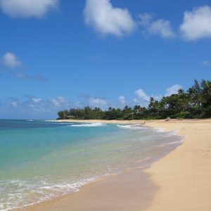 Discover Oahu: A Day of Scenic Drives, Thrilling Ziplines, and Underwater Wonders