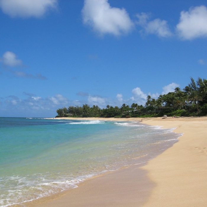 Discover Oahu: A Day of Scenic Drives, Thrilling Ziplines, and Underwater Wonders
